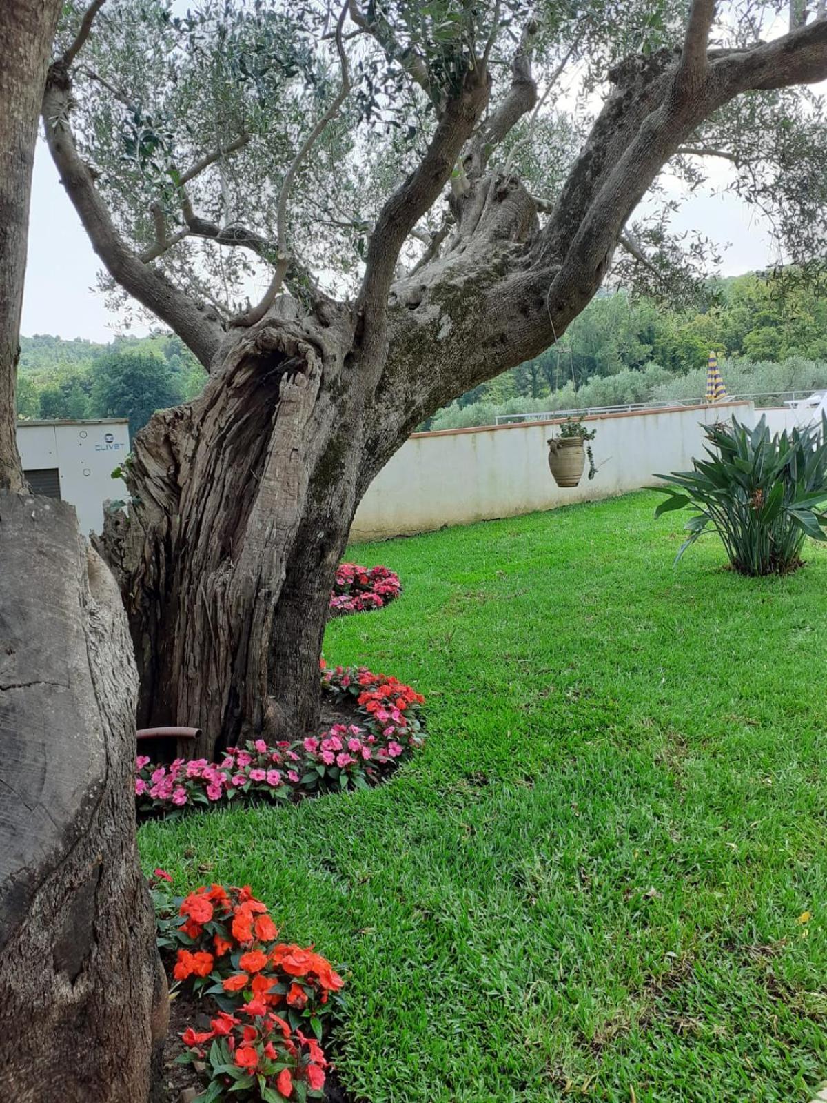 Penzion Bel Tempio San Giovanni a Piro Exteriér fotografie